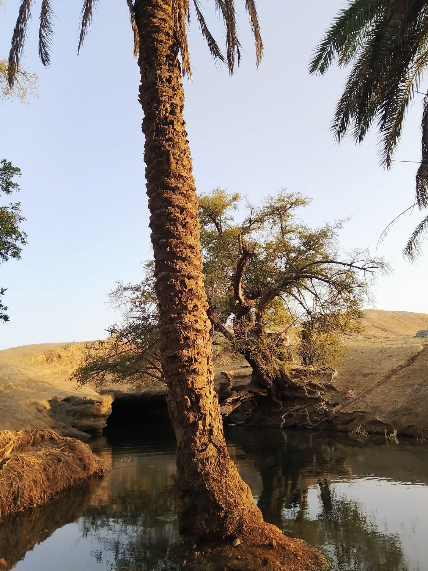 اسماعیلی علیا