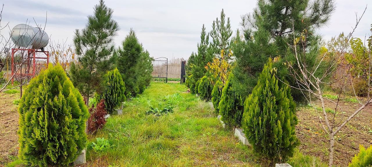 کریم آباد گرگان